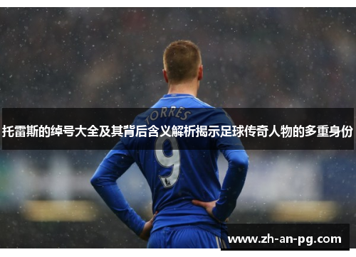 托雷斯的绰号大全及其背后含义解析揭示足球传奇人物的多重身份